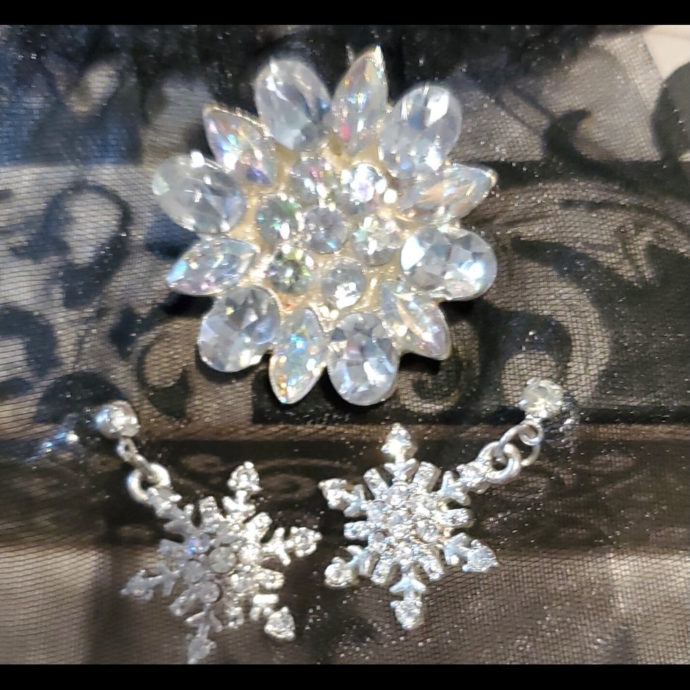 Sliver Snowflake earrings and Broach set